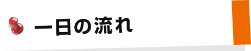 一日の流れ